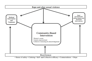 Fig. 1: Conceptual diagram of community-based intervention in conflict-related sexual violence settings. Source: Aaron Berman