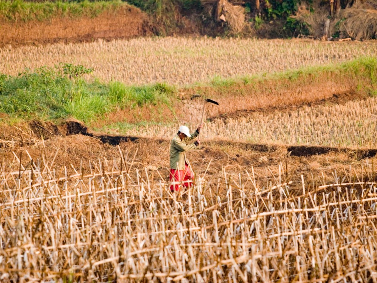 Human Health and Climate Change: The Co-benefits of Climate Change&nbsp;Mitigation