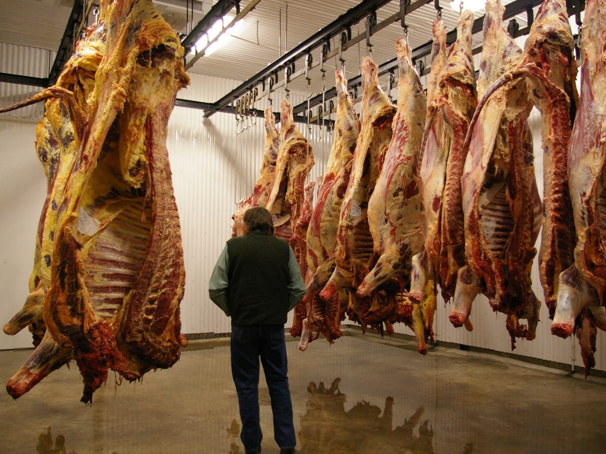 A Call to Action: Psychological Harm in Slaughterhouse&nbsp;Workers