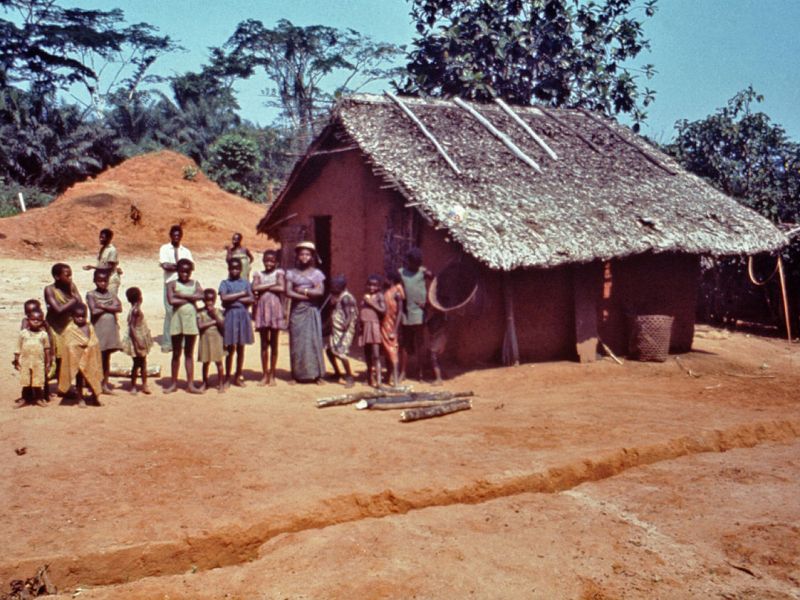 An Evolutionary Perspective on Ebola and Marburg&nbsp;Viruses