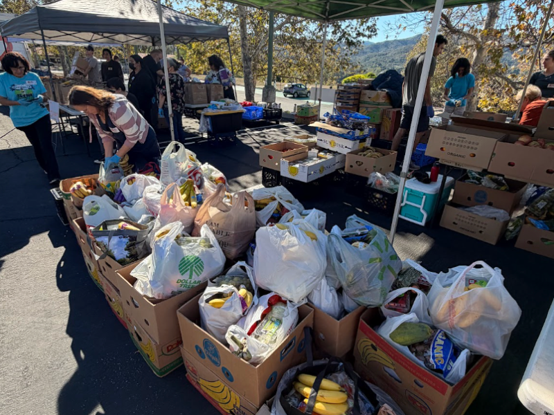 “It Feeds My Soul”: Mutual Aid as a Radical Model for Food&nbsp;Sovereignty