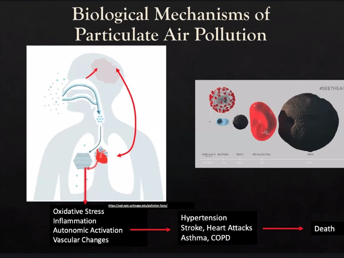 The Threat of Air Pollution and What We Can do About&nbsp;it